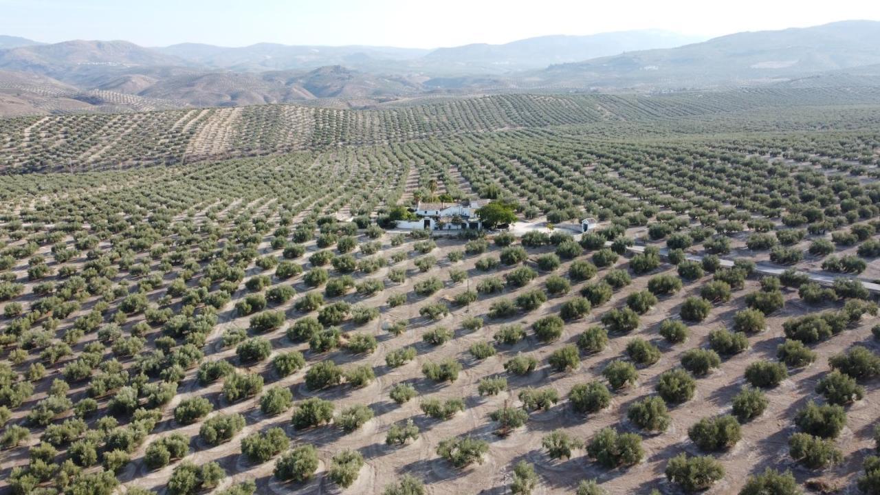 Casa De Familia Cortijo La Cubertilla Fuente-Tojar Exteriér fotografie